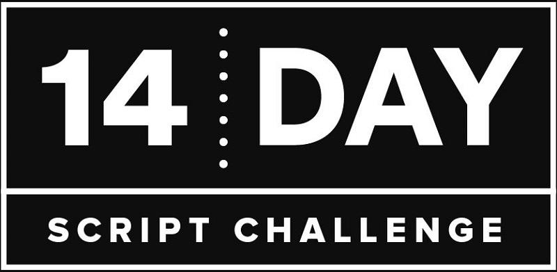 14-day-video-script-challenge