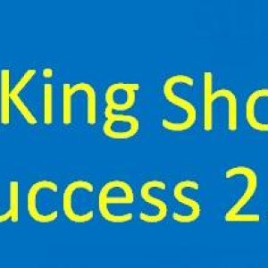 brice-king-shopify-success-2-0
