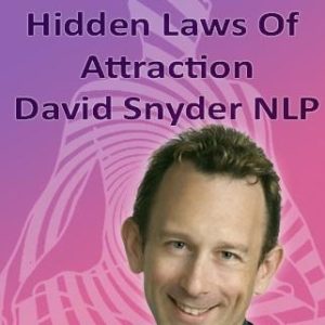 david-snyder-hidden-laws-of-attraction-webinar