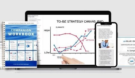blue-ocean-practical-strategy