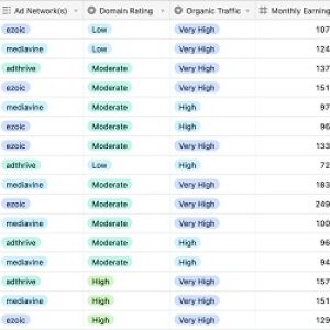 Ian Nuttall - Niche Site Metrics