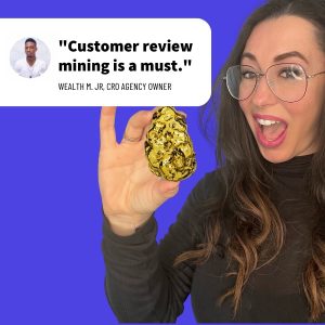 Golden Nugget Review Mining System by Katelyn Bourgoin
