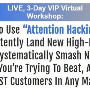 the-3-day-attention-hacking-vip-workshop-stefan-georgi