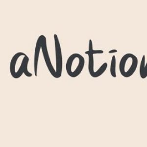 anotioneer-complete-notion-templates-bundle