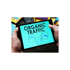 organic-acceleration-how-i-turned-20-to-7-figs-with-organic-traffic