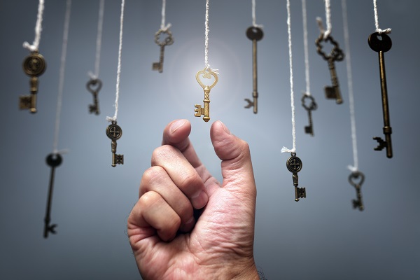 Choosing the key to success intuitive-intelligence-academy-the-abundance-code-mastery