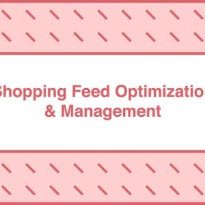 take-some-risk-shopping-feed-optimization-and-management