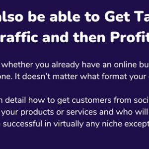 how-i-built-my-crazy-traffic-source-made-25000-in-4-months-from-scratch-in-my-online-business