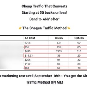 travis-sago-the-shogun-traffic-method