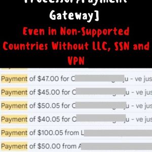 create-a-verified-payment-processor-payment-gateway-even-in-non-supported-countries-without-llc-ssn-vpn