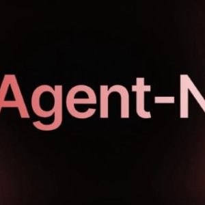 agent-n-pro-noah-epstein